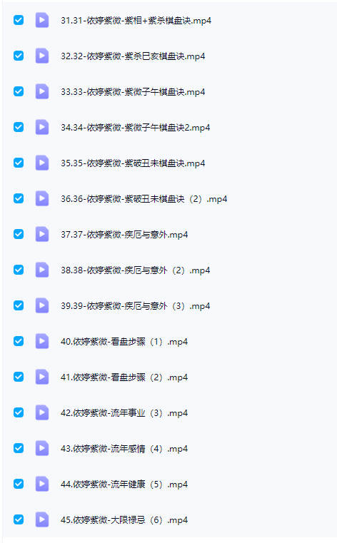 图片[8]-依婷25年最新《紫微斗数系统班》教学视频45集-中易盟