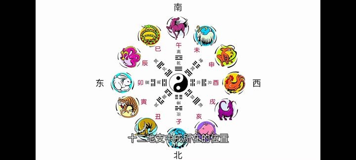 张同全《易解十二生肖之谜》视频课15集-中易盟