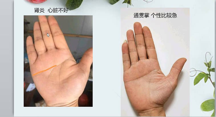 图片[11]-海琳 手诊《零基础 手把手教你用手诊为健康掌舵》视频12集-中易盟