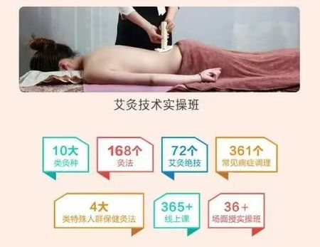 图片[2]-零基础入门《中医专业提升课》视频课120集-中易盟