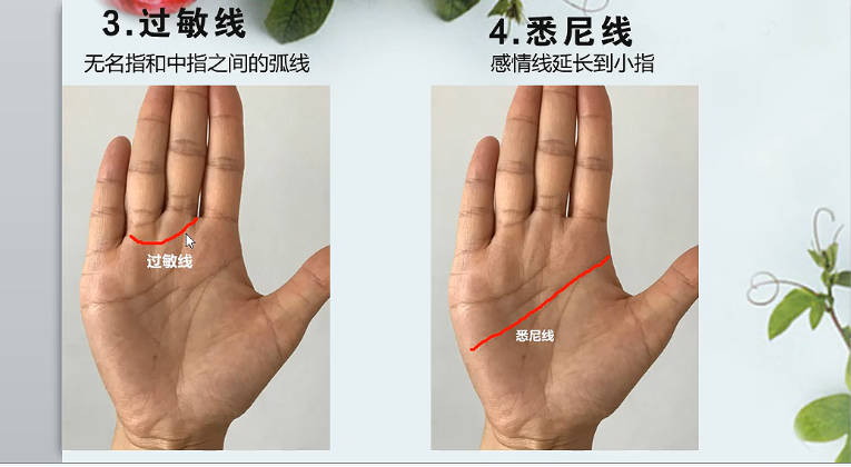 图片[8]-海琳 手诊《零基础 手把手教你用手诊为健康掌舵》视频12集-中易盟