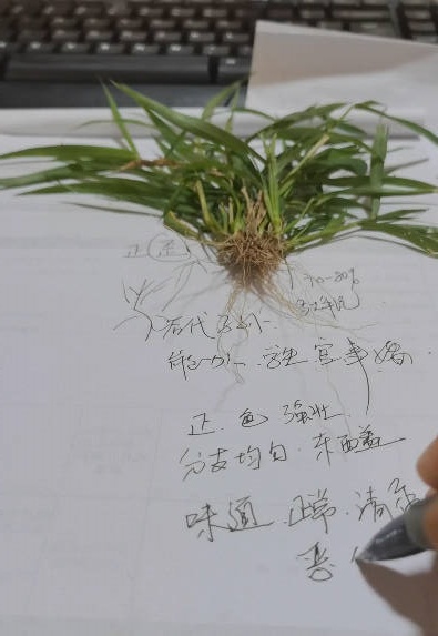 图片[6]-混元绝技《混元地理拔草断技法》望坟神断拔草断事教学 视频10集-中易盟