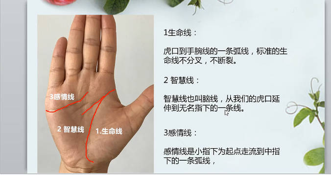 图片[10]-海琳 手诊《零基础 手把手教你用手诊为健康掌舵》视频12集-中易盟