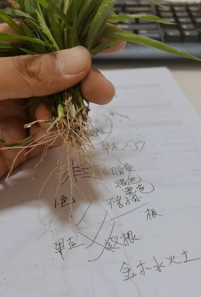 图片[5]-混元绝技《混元地理拔草断技法》望坟神断拔草断事教学 视频10集-中易盟