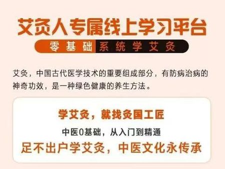 图片[4]-零基础入门《中医专业提升课》视频课120集-中易盟